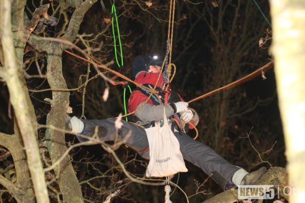 Cécile Lecomte mit Kletterausrüstung im Baum